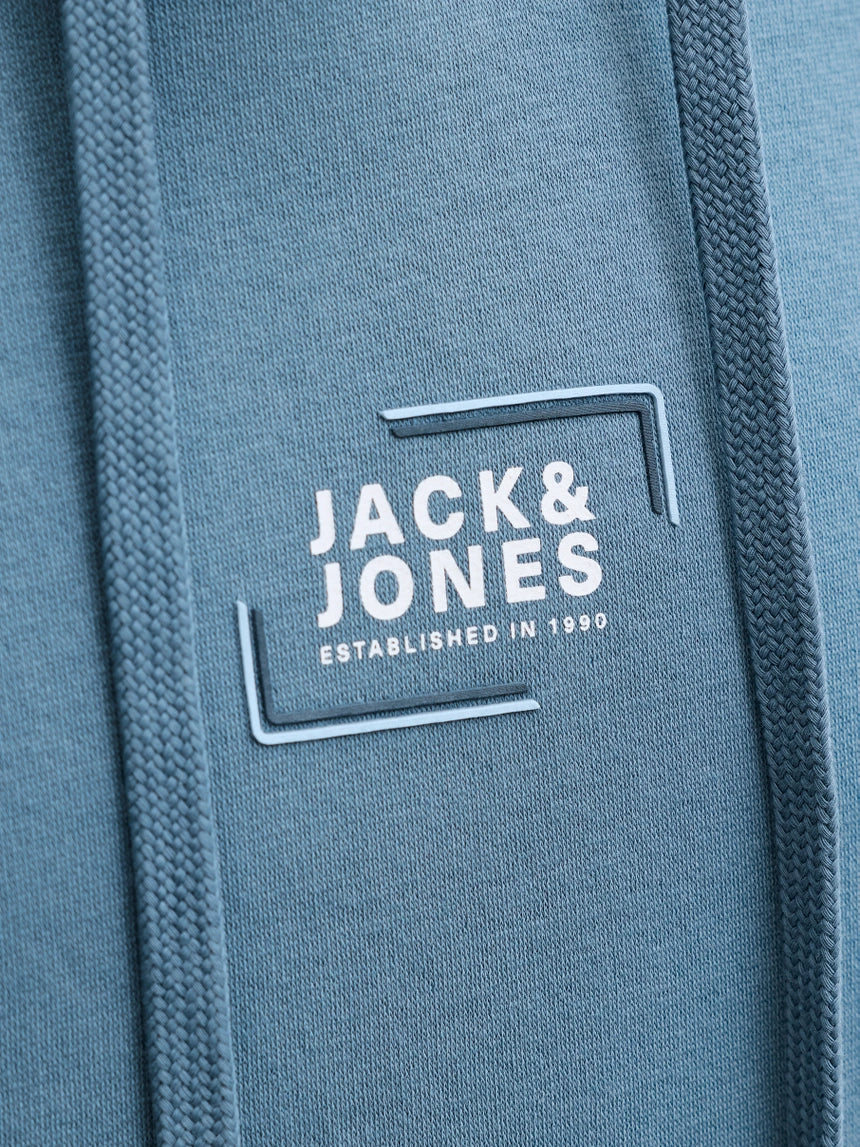 JACK & JONES JJCORP GRAPHIC HOODIE - BLUE